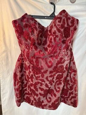 Boohoo Burgundy Velvet Floral Strapless Mini Dress